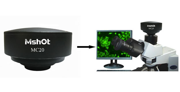 Microscope Camera