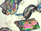 ore, metallographic microscope