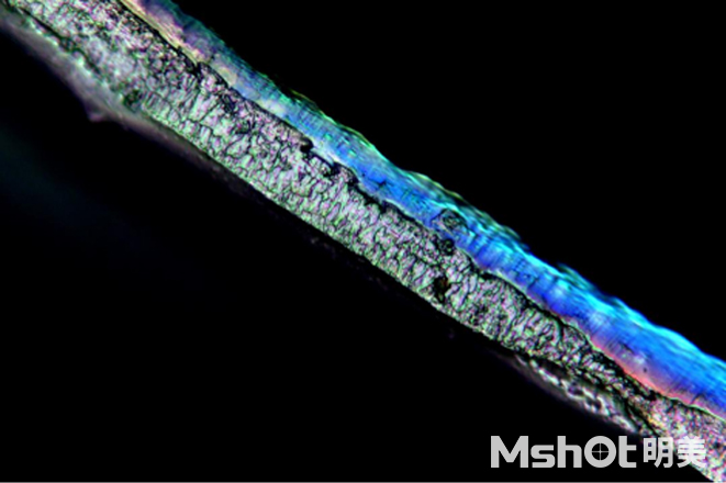 壳聚糖水凝胶用什么显微镜看？