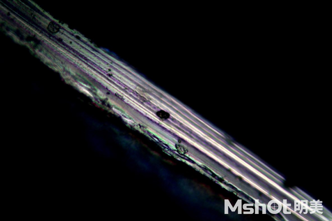偏光显微镜下壳聚糖水凝胶