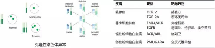 显微镜结构图.jpg 显微镜结构图.jpg
