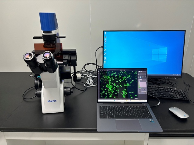 图片1.jpg 图片1.jpg