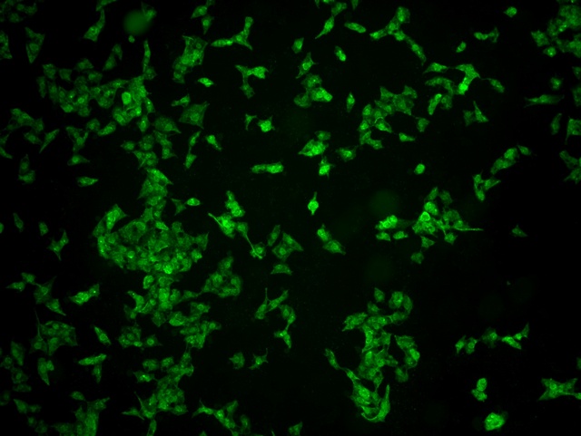 图片4.jpg 图片4.jpg